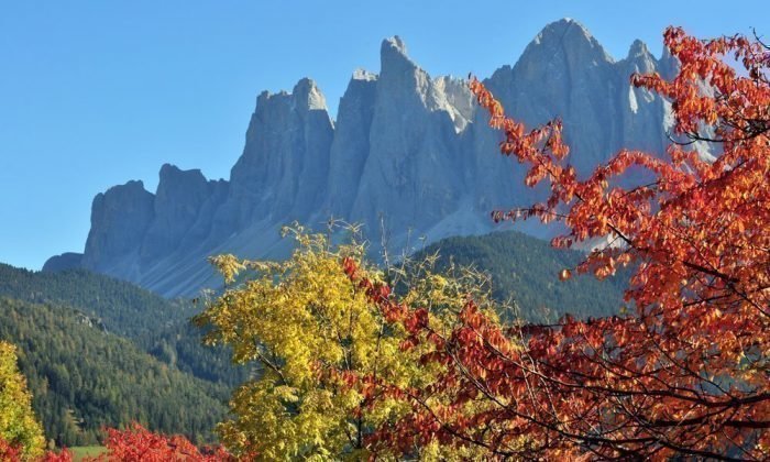 Die „Bauhütte der Dolomiten“
